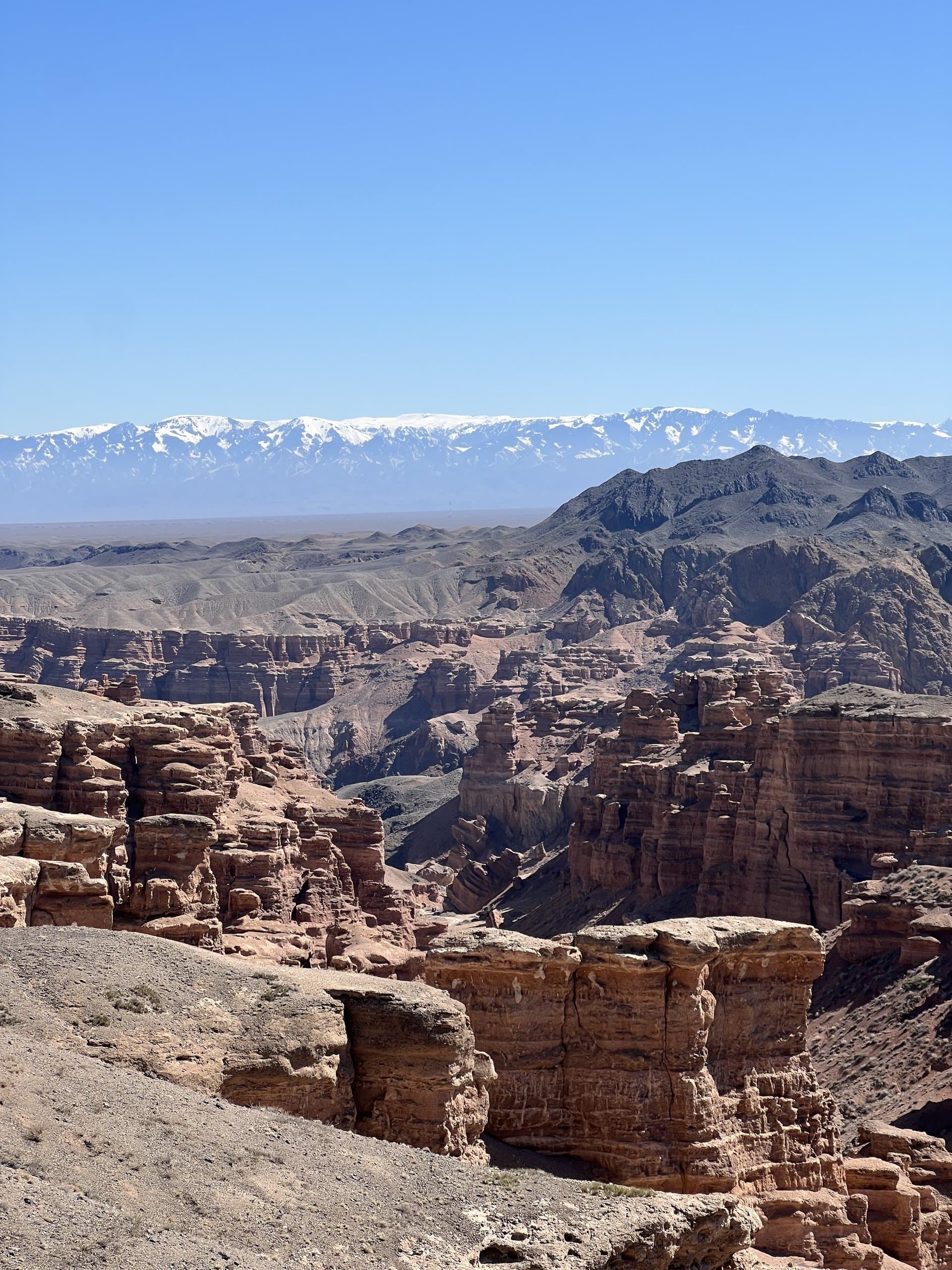 The red sandstone formations of Charyn Canyon stretching towards a snow-capped range on the horizon