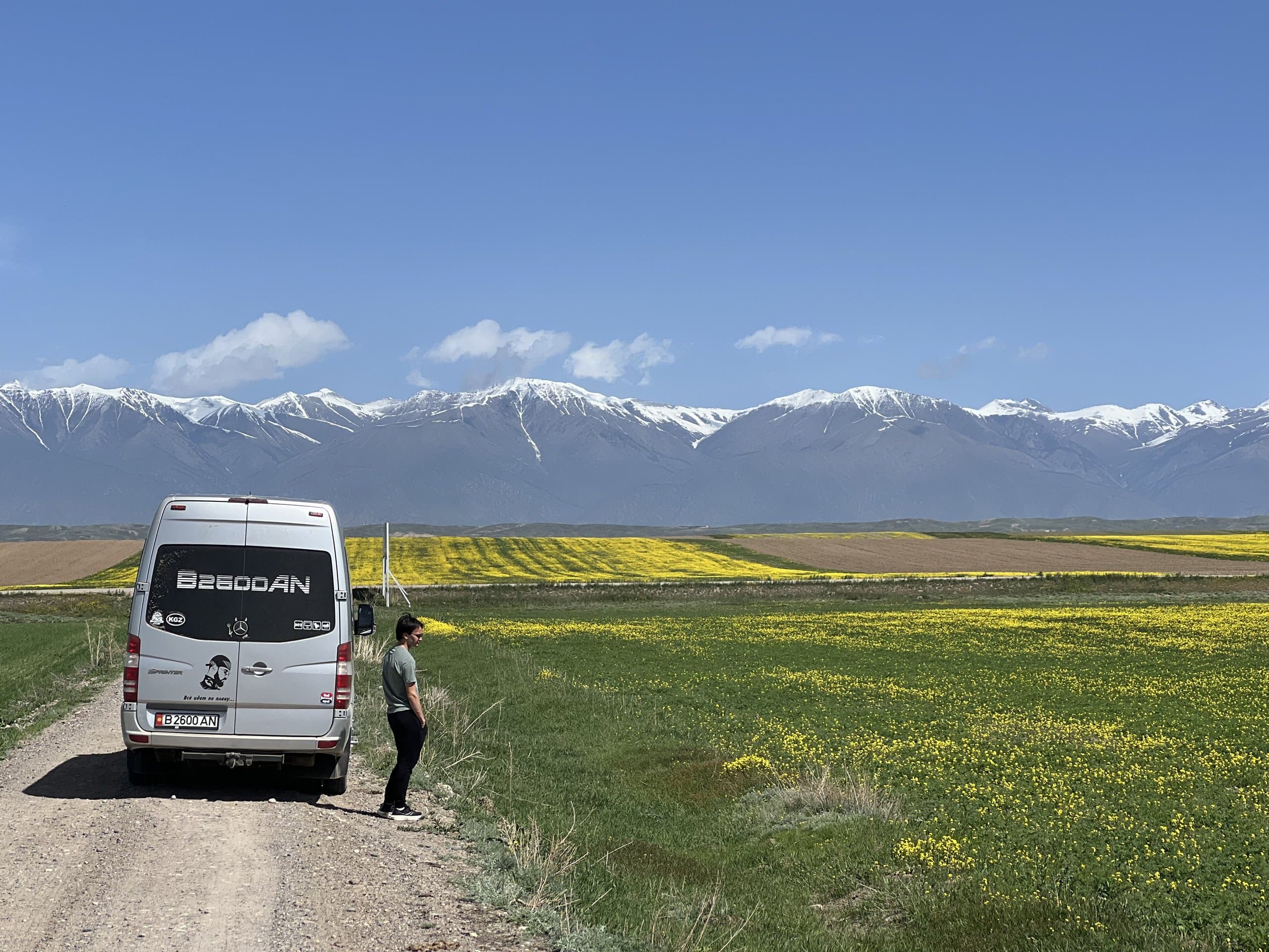 A tour van on a dirt road between flowering yellow fields, with a long snow-capped range beyond
