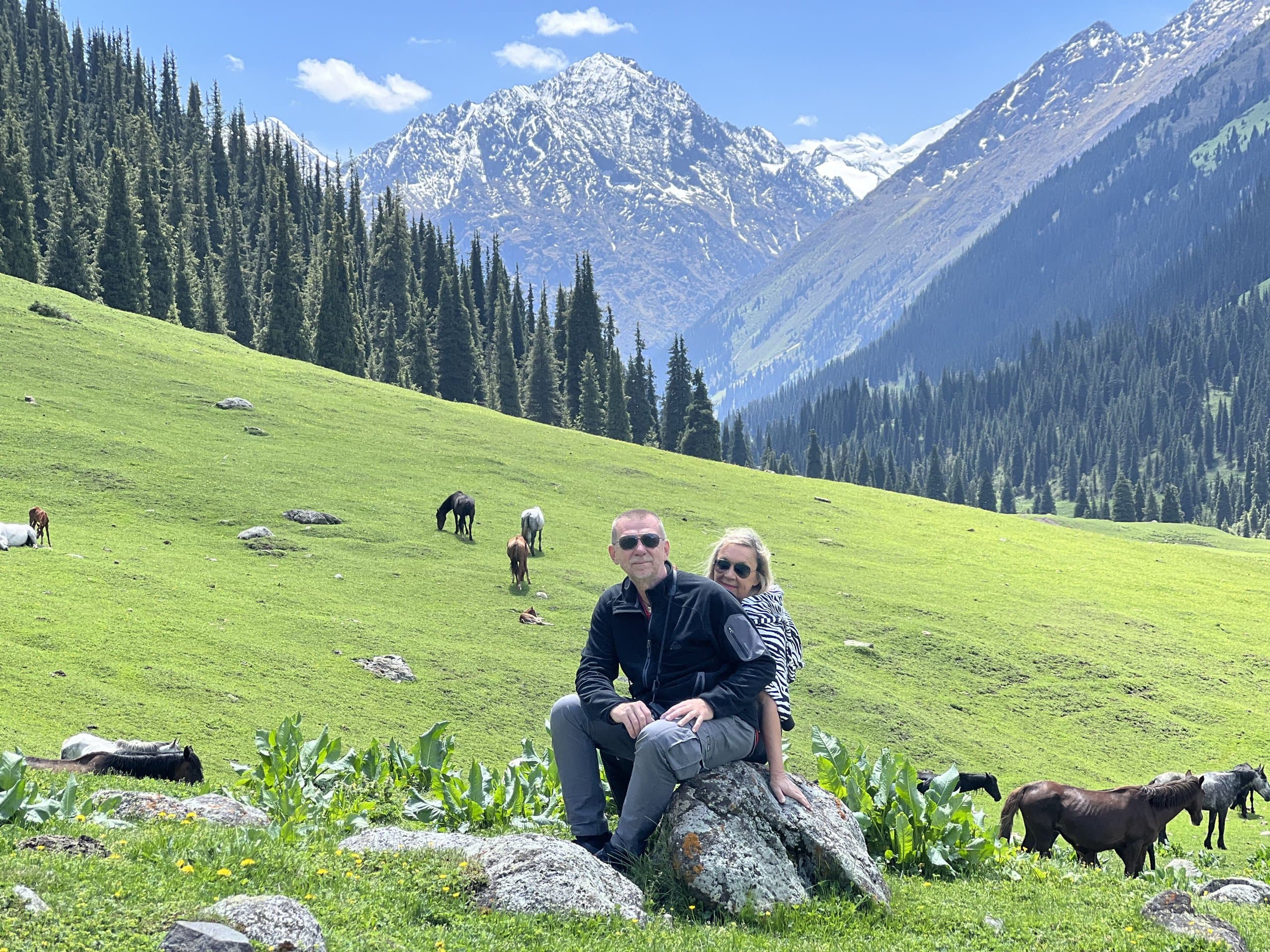 Two travellers resting on a boulder in an alpine meadow, with horses grazing below snow-capped peaks